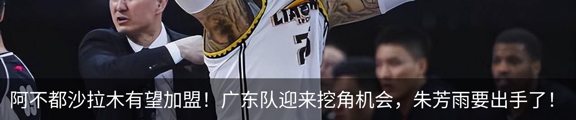 新闻动态