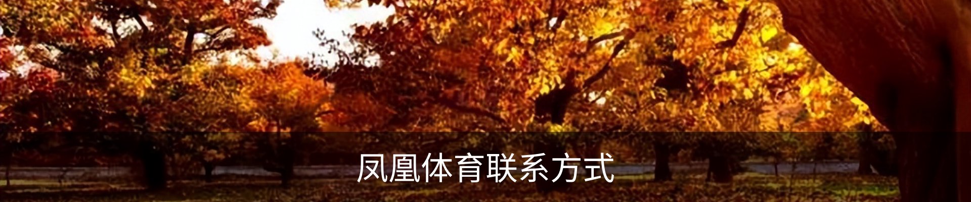 凤凰体育联系方式
